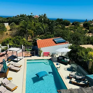 Palm View Guesthouse, Adults Only Couette-café